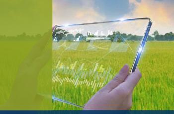 Decoratief: algemeen